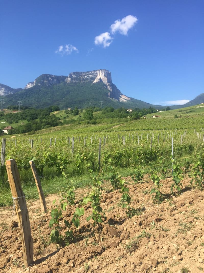 Saint Baldoph en vélo à VTC - Saint-Baldoph