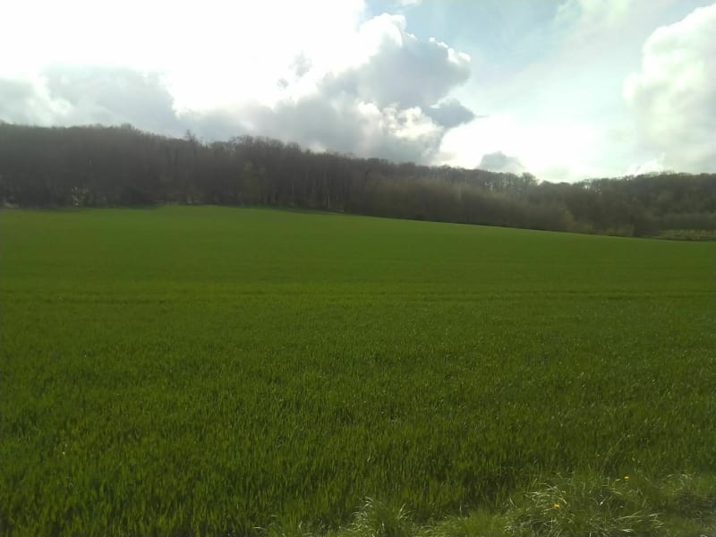 Auvillers via chemins par Les Fontaines et Béthencourtel - Neuilly-sous-Clermont