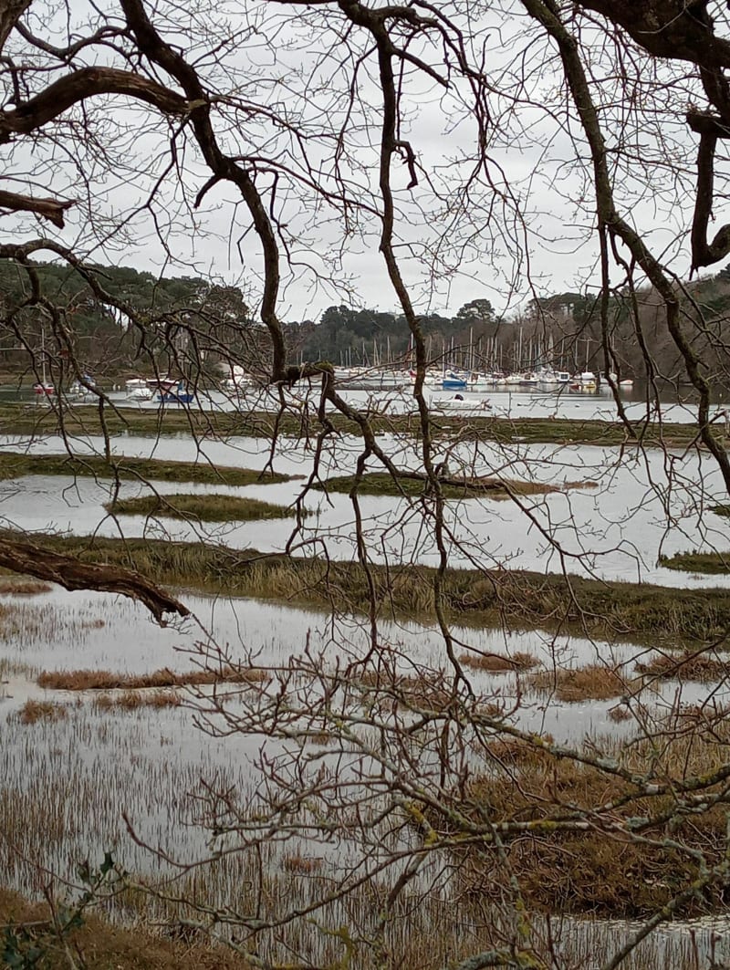 Les Rives du Vincin à vélo - Vannes