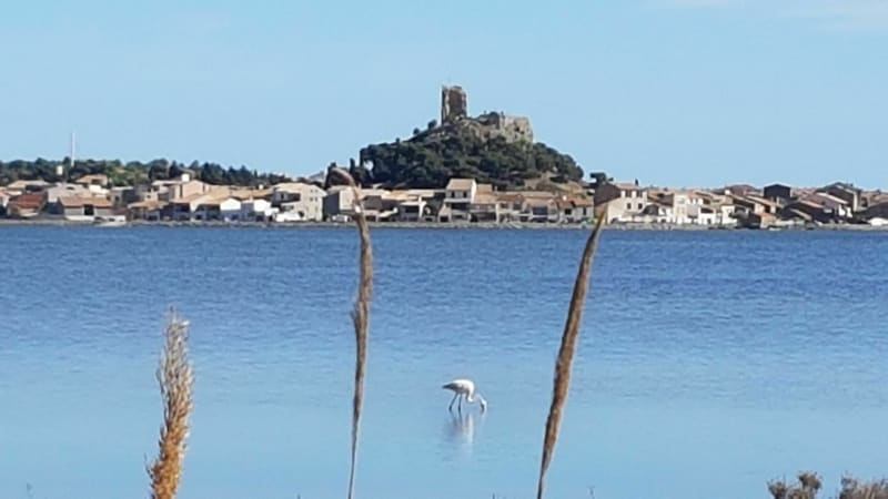 Gruissan et la multitudes de ses paysages. - Gruissan