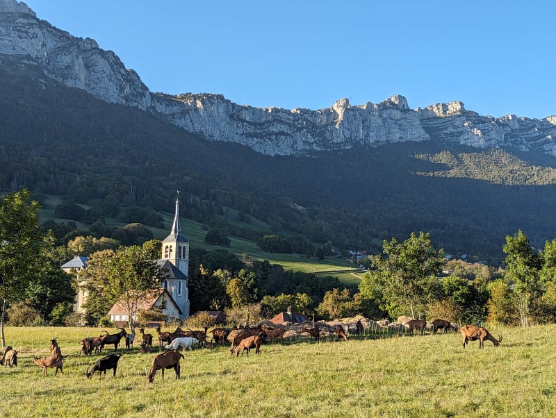 Belvédère du Puy à Saint-Bernard par Les Guillots - Plateau-des-Petites-Roches