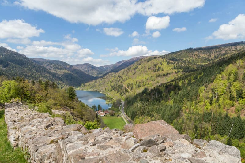 A l'assaut du Griebkopf avec vues sur le Lac de Kruth - Kruth