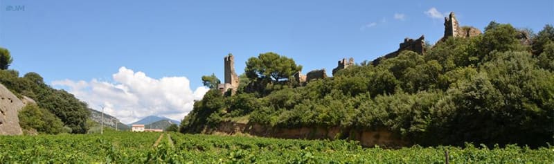 Circuit Entre Beaumes de Venise et Dentelles VTT - Beaumes-de-Venise