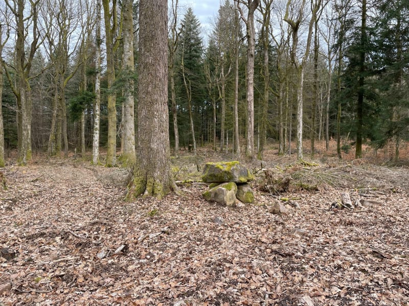 Sur les hauts de Laménil - Arches