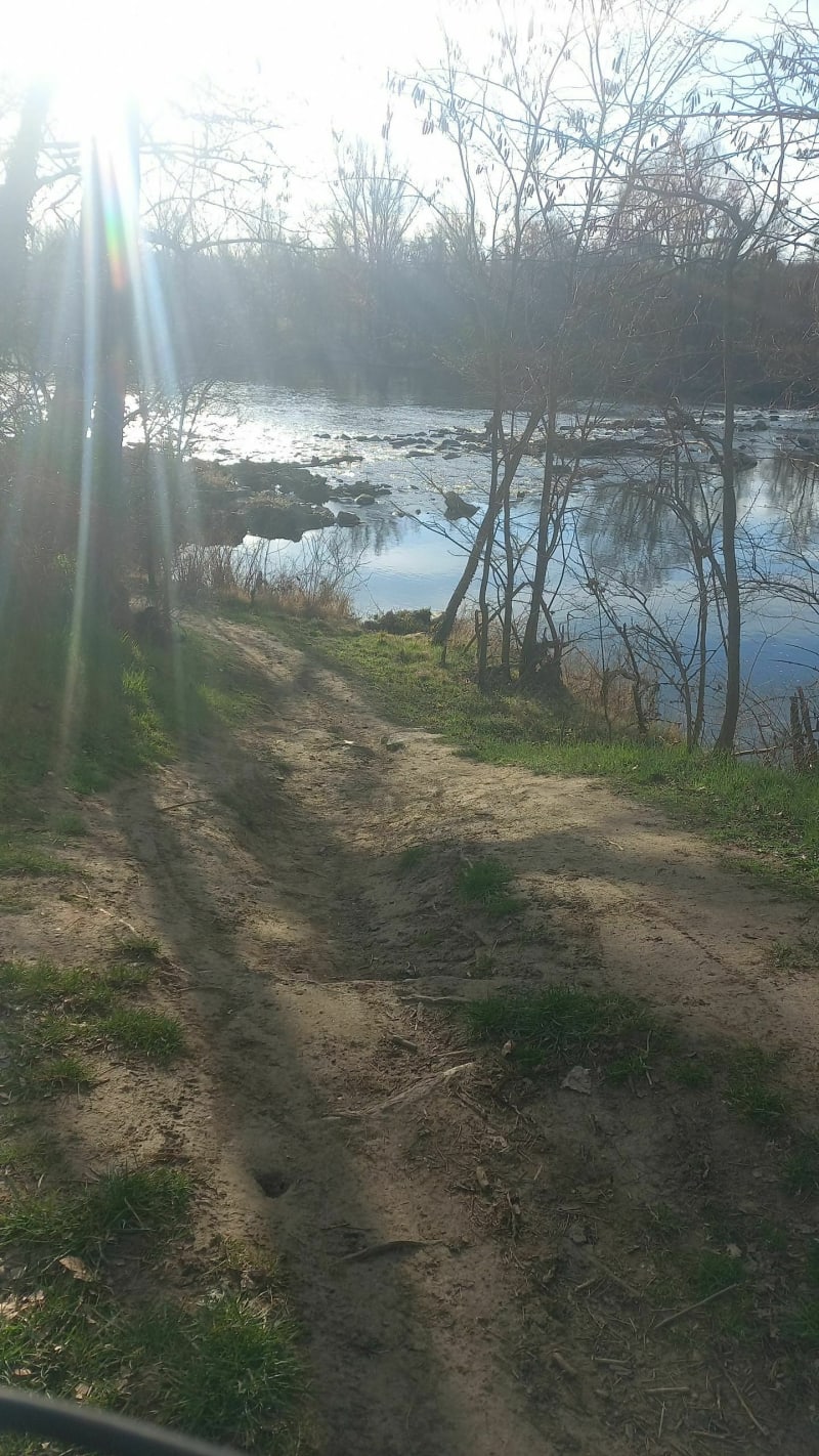 Bord de Loire par Malépine à VTC ou VTT - Veauchette