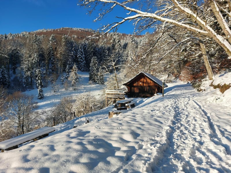 De Grambaechle à Montori via le parcours Vitæ - Masevaux-Niederbruck