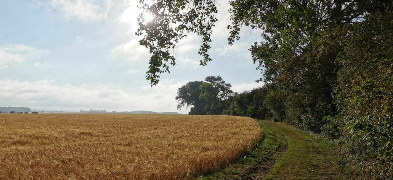 Le Mont Fouet depuis Dury - Dury