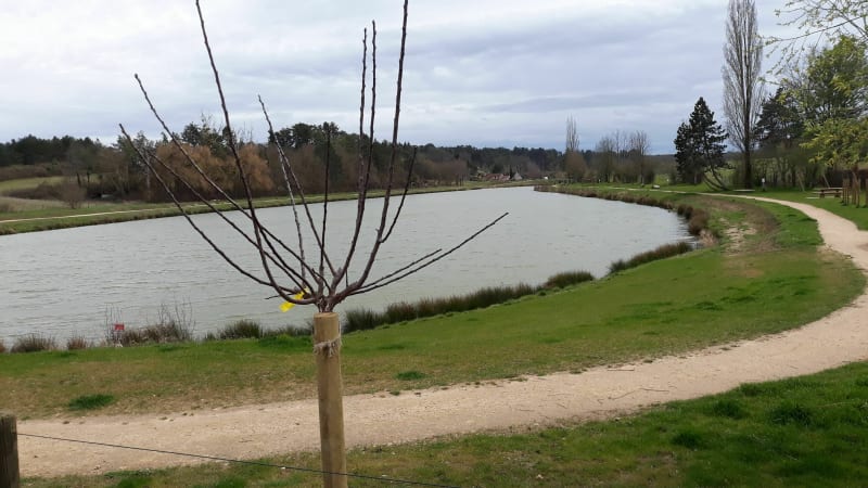 Balade et tour du Lac de Nogent-Sur-Vernisson - Nogent-sur-Vernisson