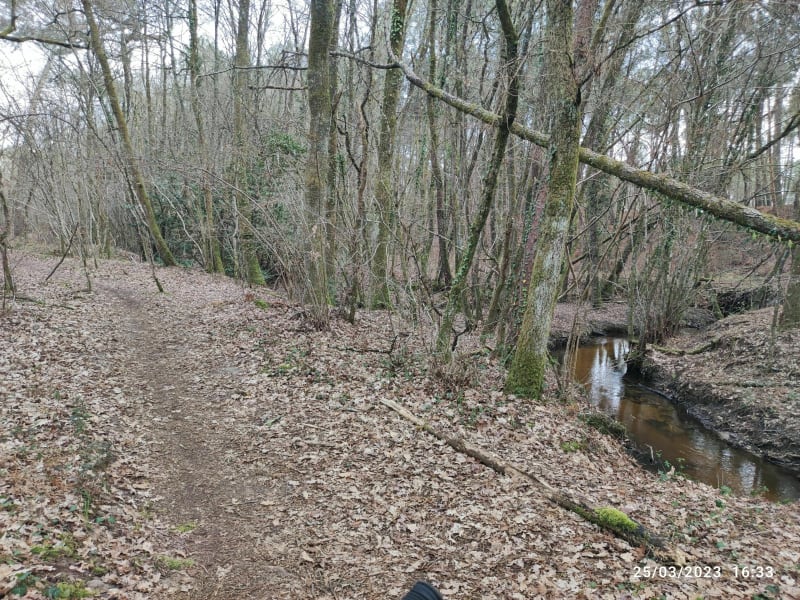 Dans les bois bord de Jalle en VTC - Saint-Médard-en-Jalles