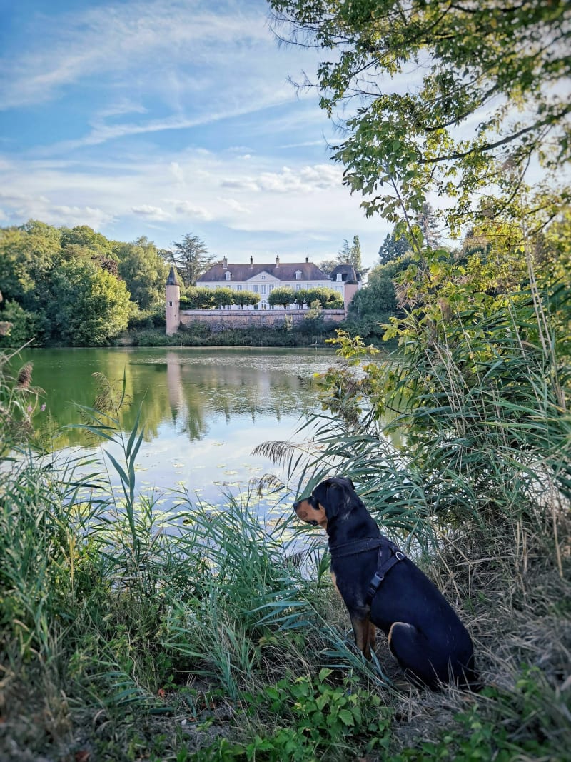 La familiale : flânerie entre bord de Saône, champs et canal à VTC - Seurre
