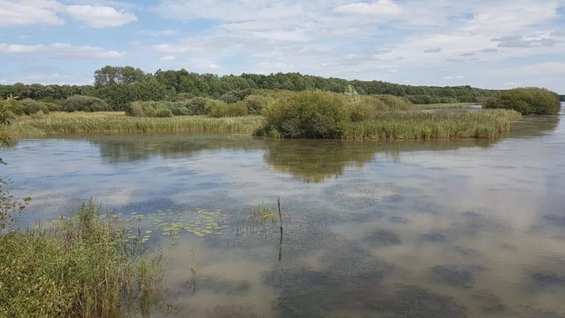 Les étangs Hollande en vallée de Chevreuse - Les Bréviaires