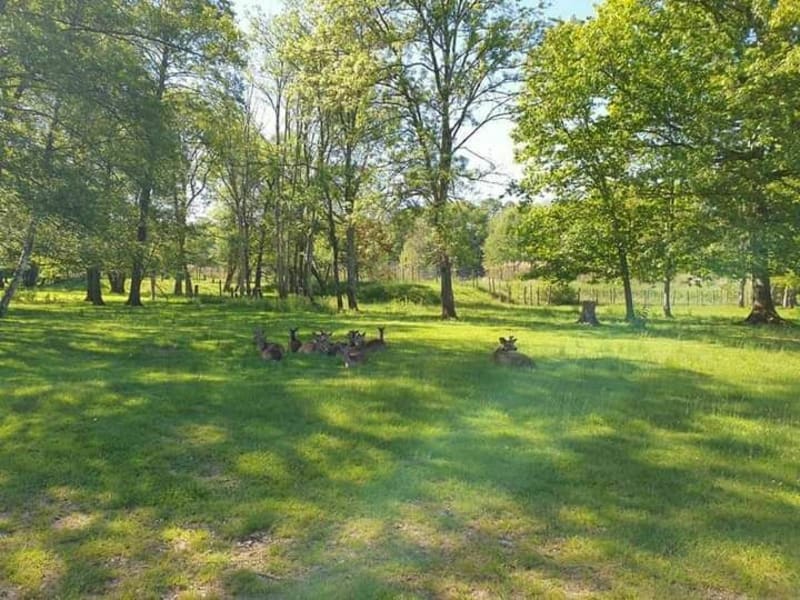Balade autour de l'etang de Foucherans - Foucherans