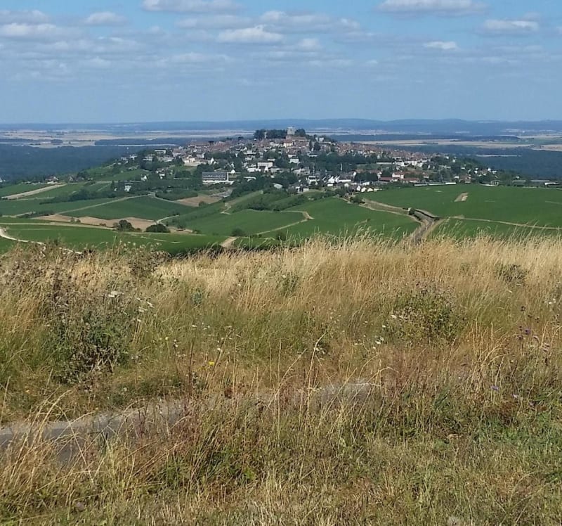Sancerre Chavignol par la côte d'Amigny à VTT - Sancerre