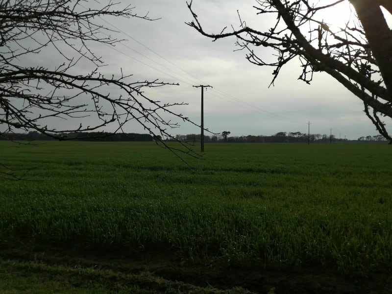 Campagne Landaulaise par Kergrëz - Landaul