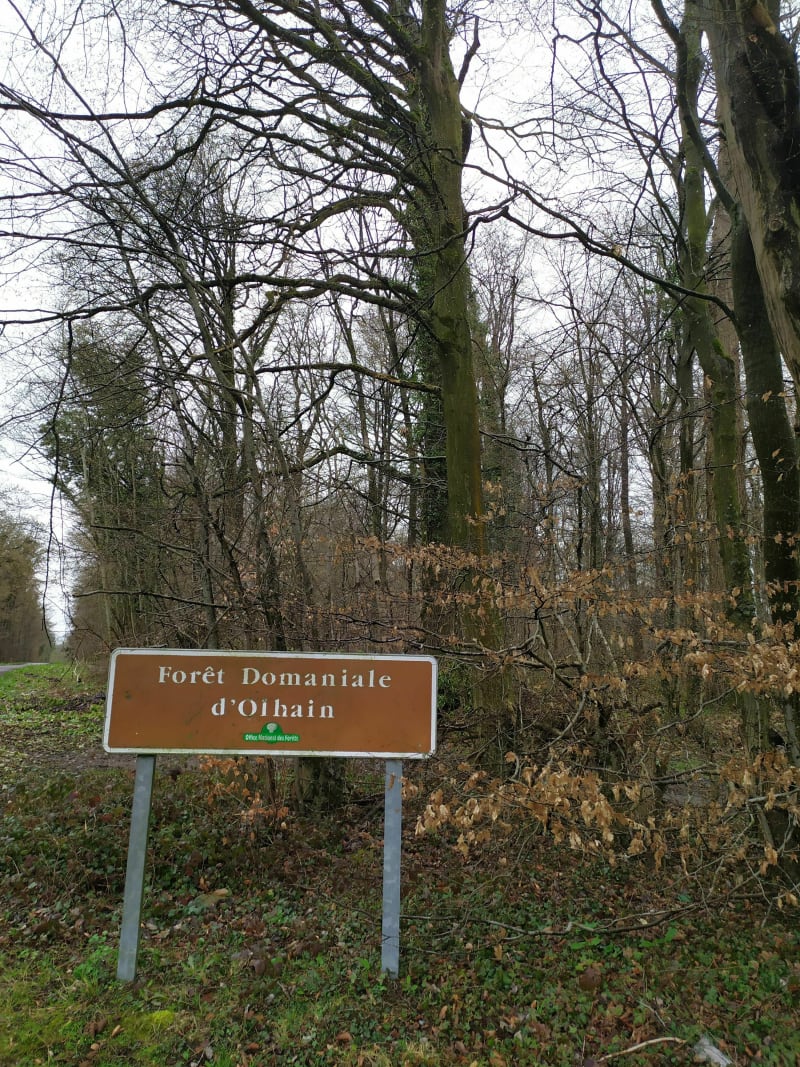Balade familiale à Verdrel, dans la forêt domaniale d'Olhain à Vélo - Fresnicourt-le-Dolmen