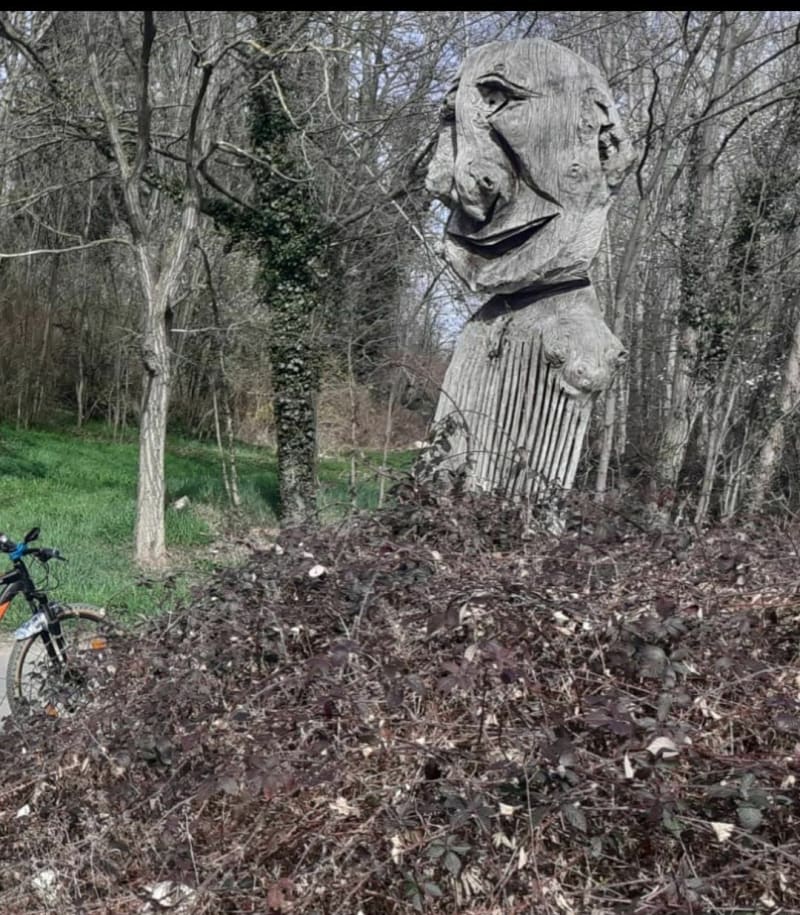 Remise en selle à Sury Le Comtal - Sury-le-Comtal