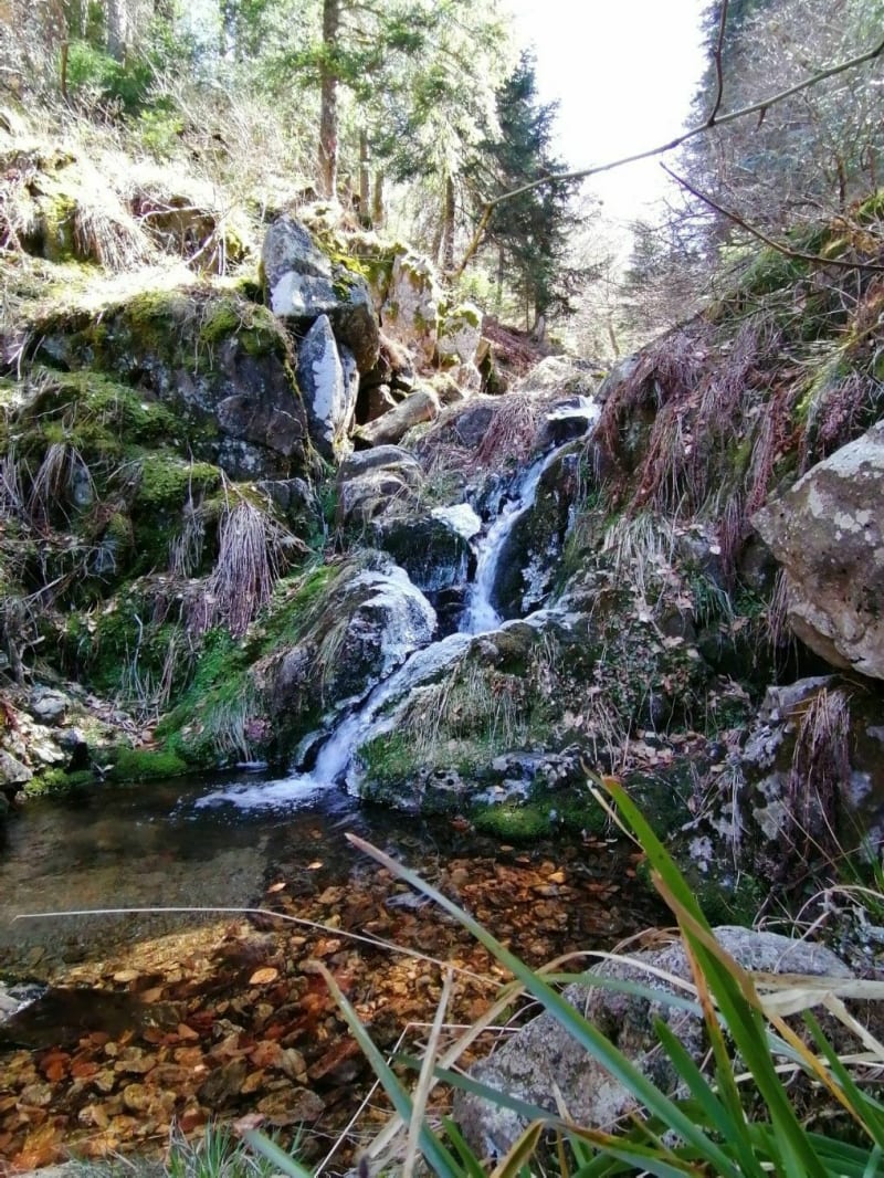 Col de meyrand - Borne