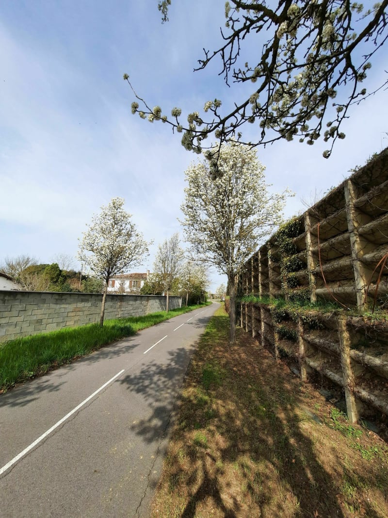 Aeroscopia par la piste cyclable. - Daux