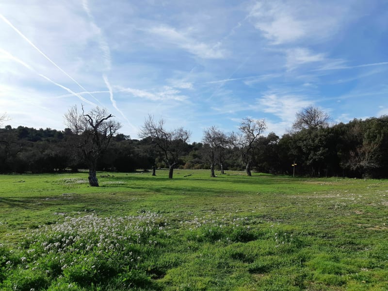 Le Luberon par la Piste de Valloncourt et La ferme des Mayorques - Cheval-Blanc