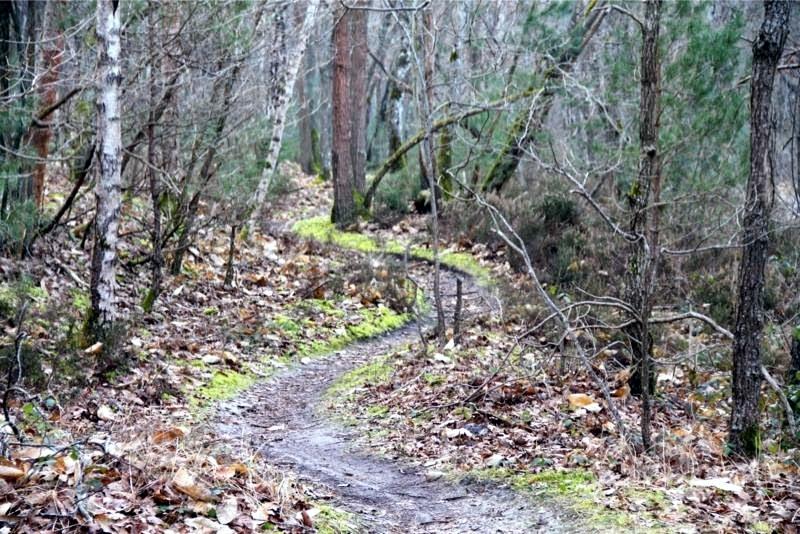 Milly la forêt en VTT - Milly-la-Forêt