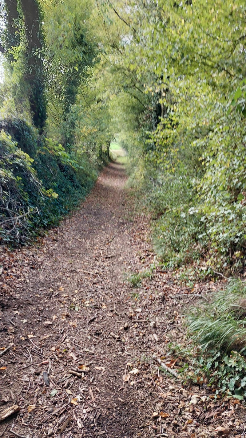Marcilly sur Maulne - Marcilly-sur-Maulne