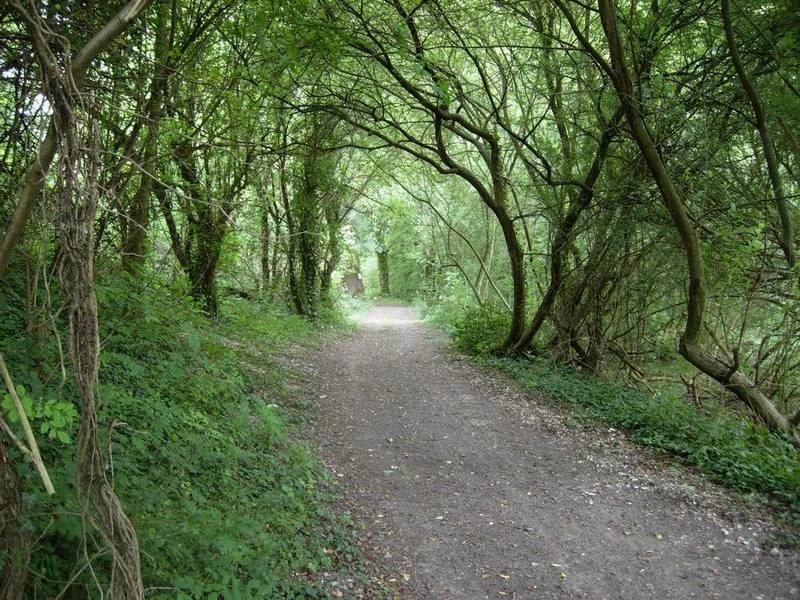 Le passage aux loups depuis Pont-Noyelles à VTT - Pont-Noyelles