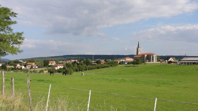 Le Bois St-Ignon depuis Saizerais - Saizerais