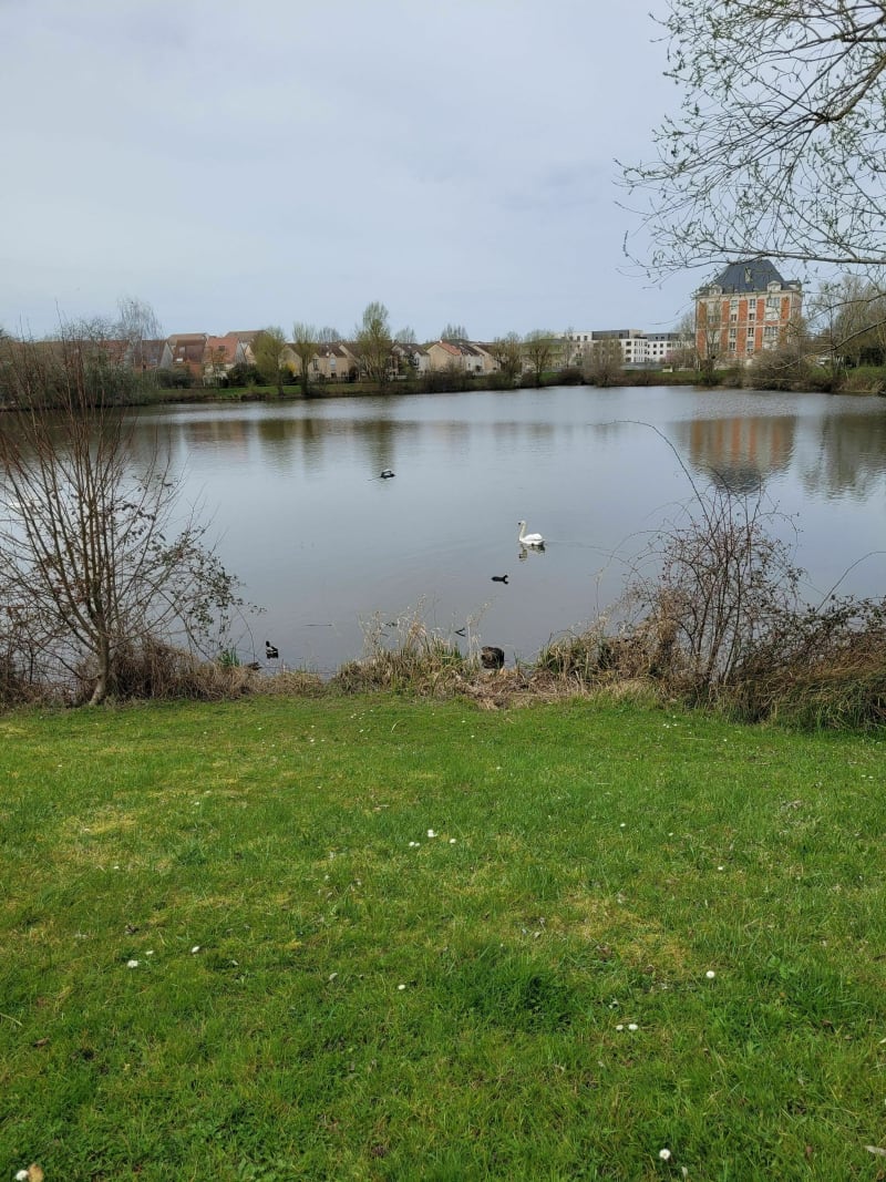 Marche Collines Moissy - Moissy-Cramayel