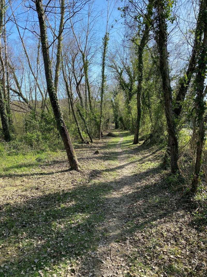 Bois Bellevue par le château de la Passade - Juillan