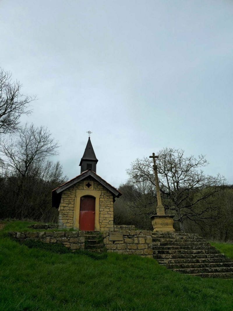 A travers les vignes de Marange - Amnéville