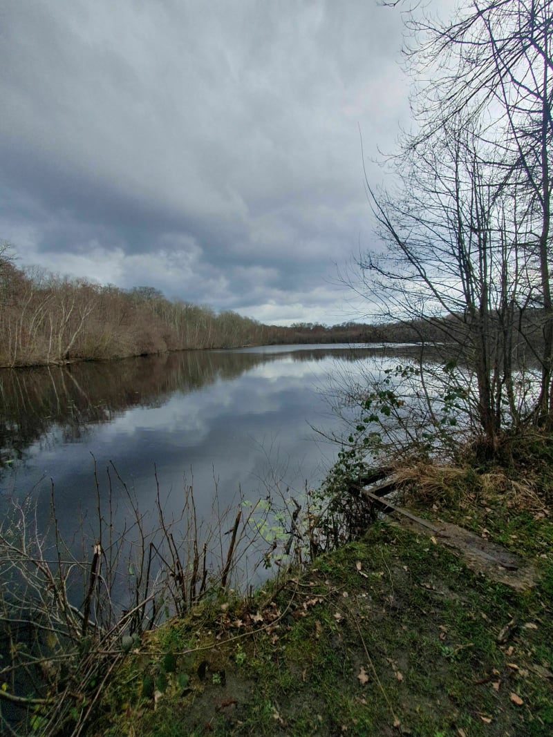 Le long du Ruisseau et du Grang Etang Neuf - Gambaiseuil