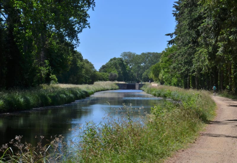 Circuit des marais - Nort-sur-Erdre
