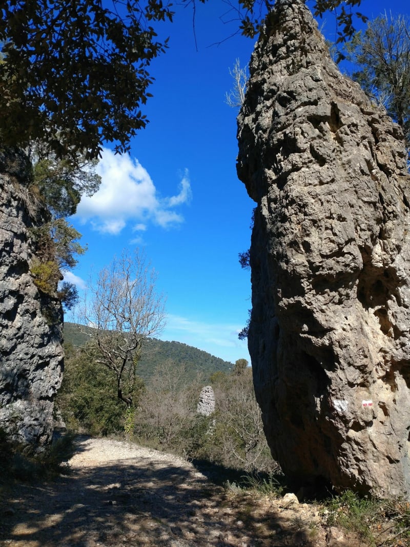 Les aiguilles de Valbelle Montrieux le Jeune 83 - Méounes-lès-Montrieux
