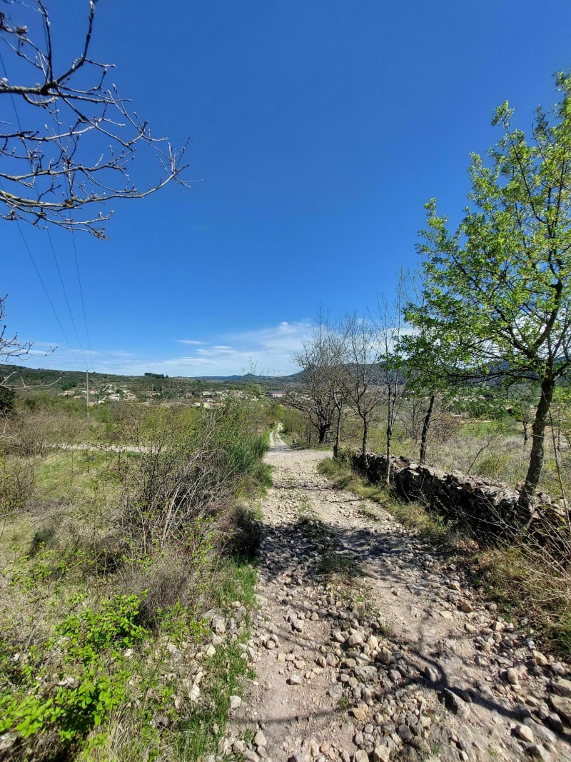 Balade tranquille de Lamalou à Hérépian - Lamalou-les-Bains