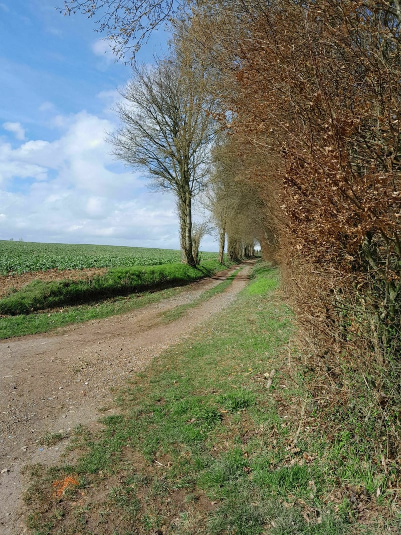 Balade autour d Agnieres en VTT - Agnières