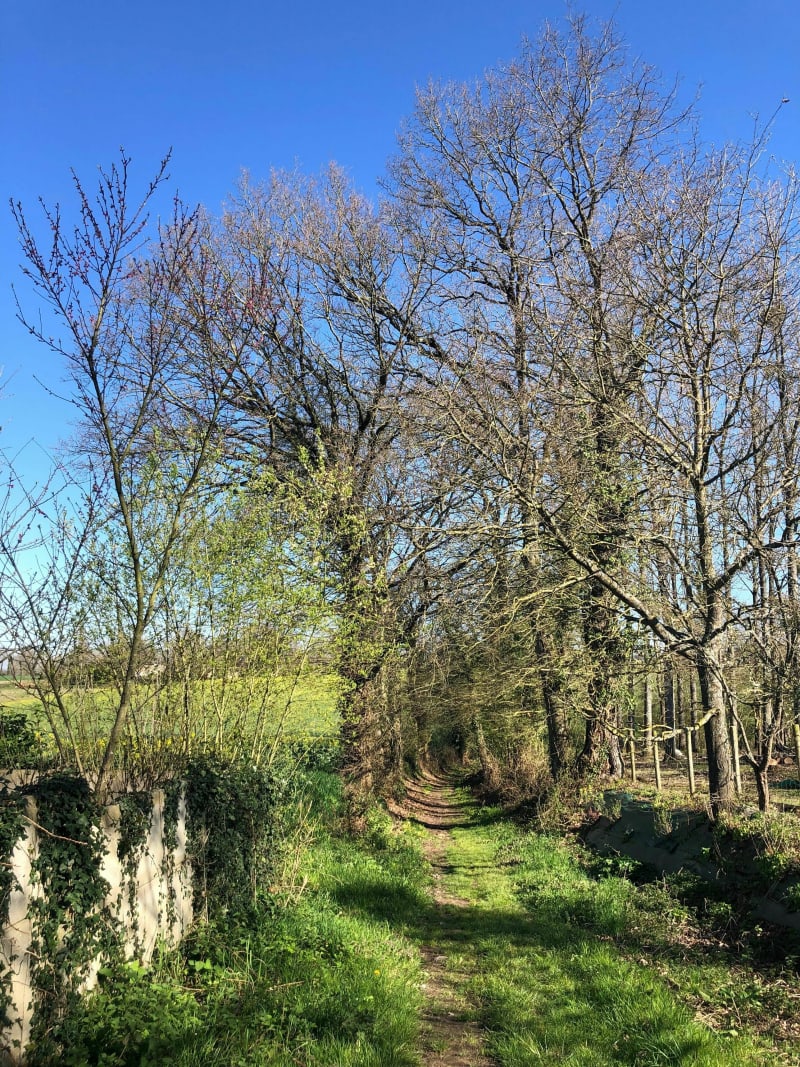Sentier de Gripail - Vignoc