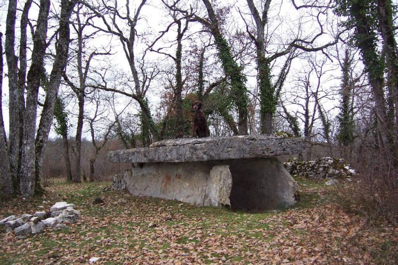 A la découverte des Domens d'Assier - Assier