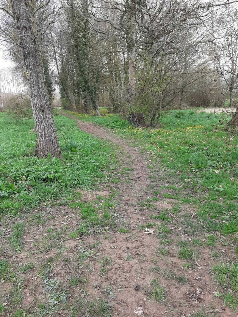 Breteil : promenade bucolique. - Breteil