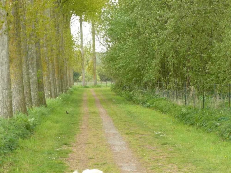 A la découverte de la Vallée de la Ternoise à VTT - Rollancourt