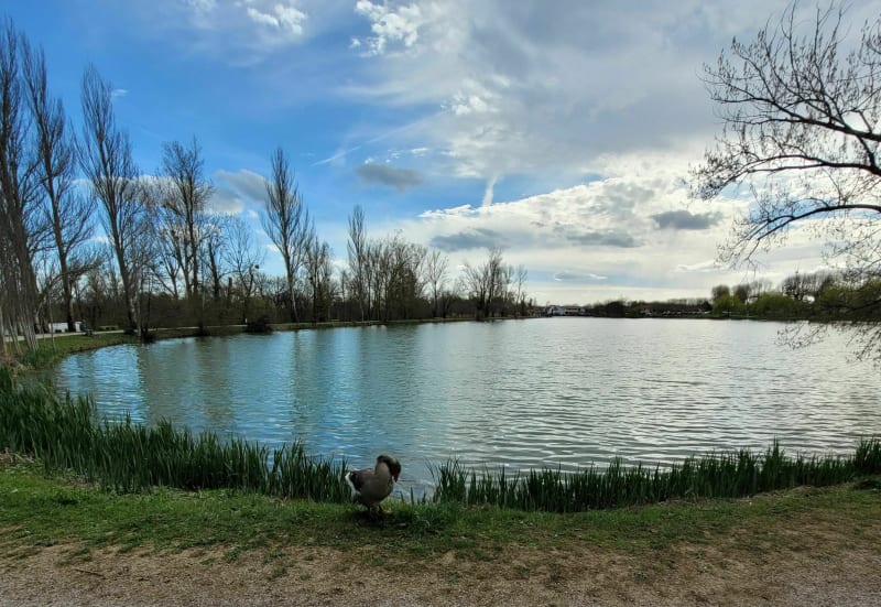 Lac de Lisle-sur-Tarn - Lisle-sur-Tarn