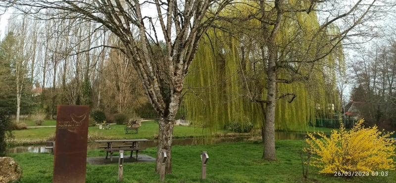 Les alentours de Saint Gondon - Saint-Gondon
