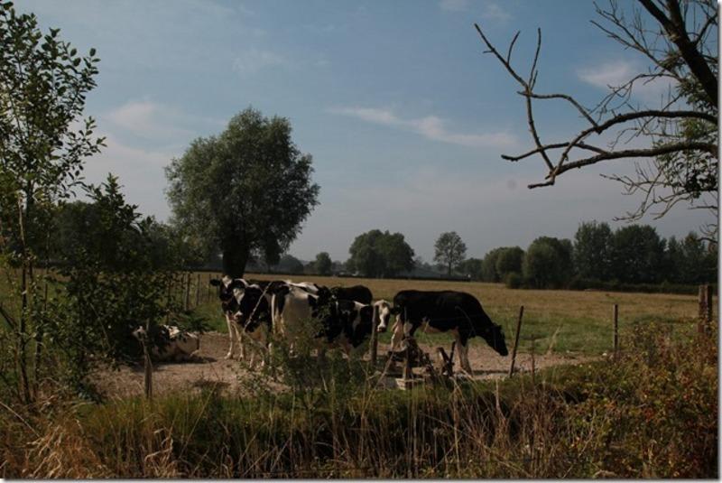 Parcours de Dame Marguerite à Maroilles - Maroilles