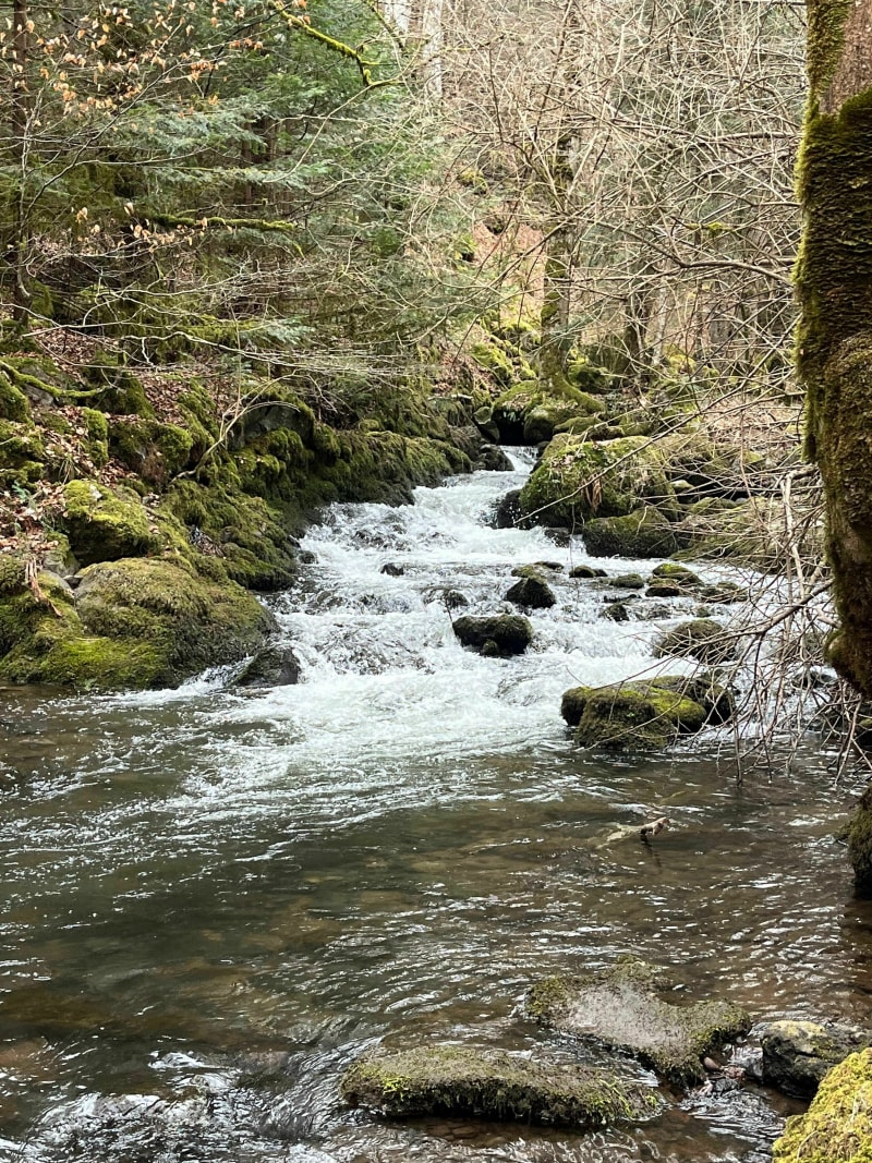 Cascades de Chiloza au départ de Besse - Besse-et-Saint-Anastaise