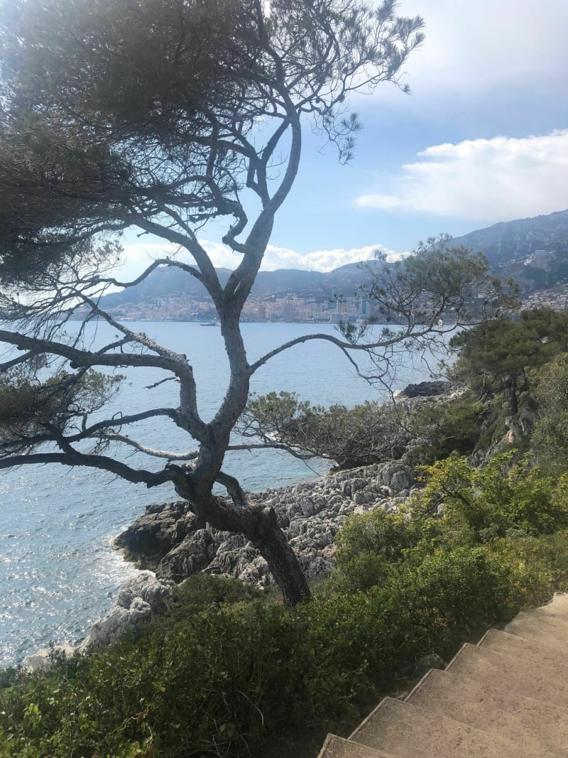 Tour du Cap Martin à Roquebrune depuis la gare - Roquebrune-Cap-Martin