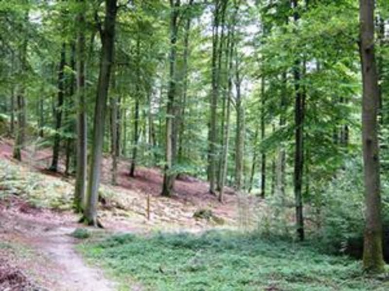 Sur les pas des mousquetaires – Villers-Cotterets - Villers-Cotterêts