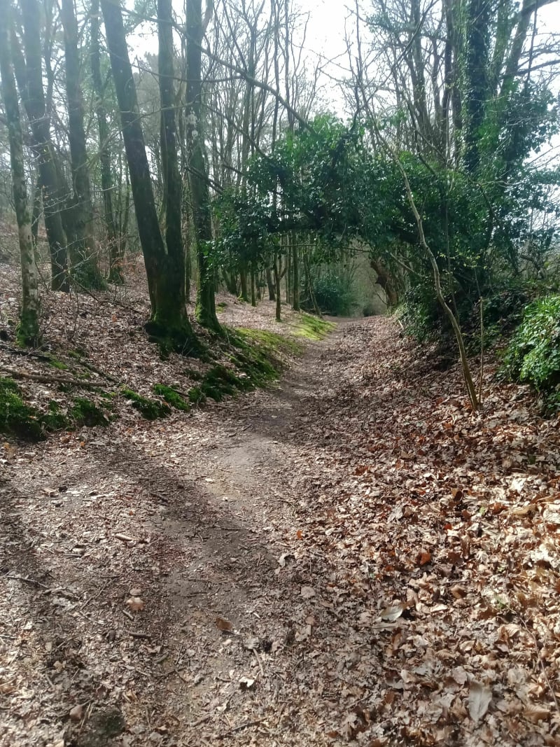 Locminé et sa campagne en passant par le Tarun - Locminé