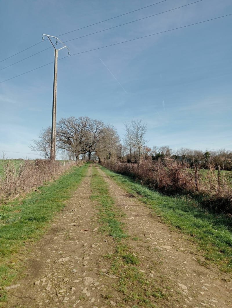 Brigueuil en Charente Limousine par la forêt de Montrollet - Brigueuil