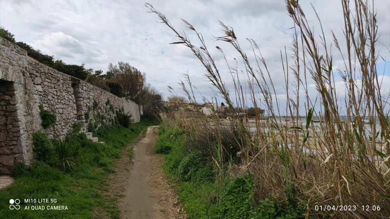 Entre Thau et Saint-Clair - Sète