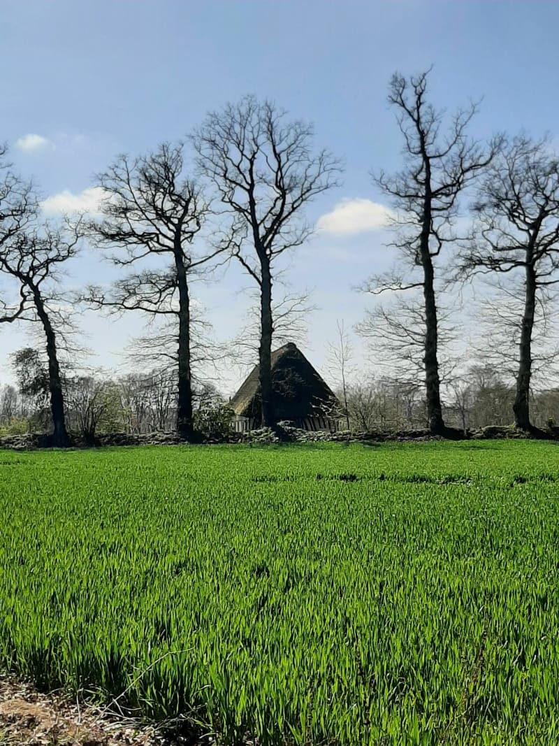 Belle randonnée à Saint-Clair-sur-les-Monts par la Bretèque - Saint-Martin-de-l'If