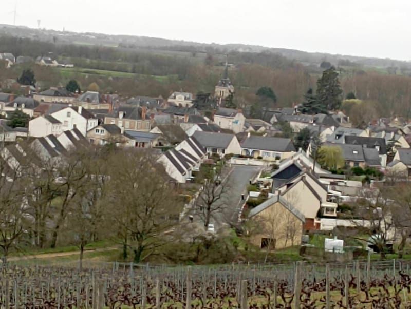 Balade dans les côteaux de Thouarcé - Bellevigne-en-Layon